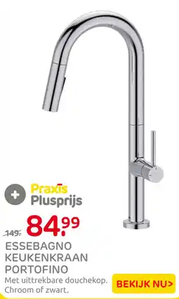 Praxis Essebagno keukenkraan portofino aanbieding
