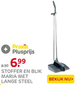 Praxis Maria met lange steel aanbieding