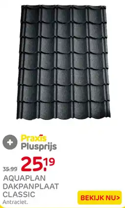 Praxis Praxis AQUAPLAN DAKPANPLAAT CLASSIC aanbieding