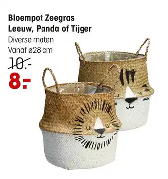 Kwantum Bloempot Zeegras Leeuw, Panda of Tijger 28 cm aanbieding