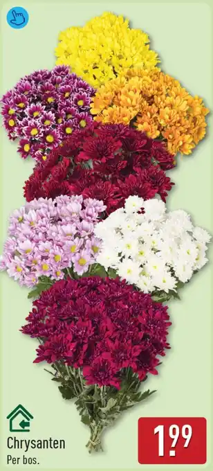 ALDI Chrysanten aanbieding