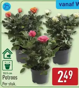 ALDI Potroos aanbieding