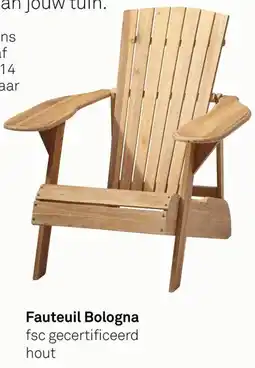 Karwei Fauteuil Bologna aanbieding