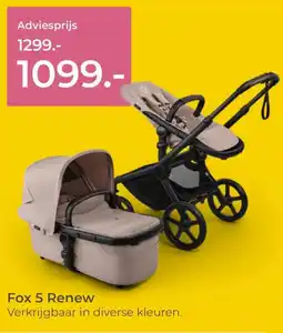 Prenatal Fox 5 Renew aanbieding