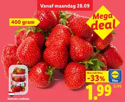 Lidl Hollandse aardbeien aanbieding