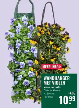 GroenRijk Wandhanger met Violen aanbieding