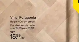 Leen Bakker Vinyl Patagonia aanbieding
