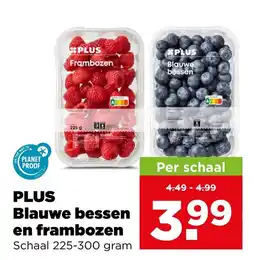 PLUS PLUS Blauwe bessen en frambozen aanbieding