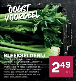 Ekoplaza bleekselderij aanbieding