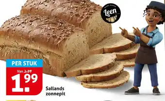 Hoogvliet Sallands zonnepit aanbieding