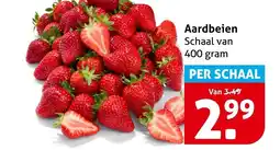 Hoogvliet Aardbeien aanbieding