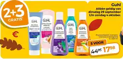Trekpleister Guhl shampoo Intensieve Stevigheid aanbieding