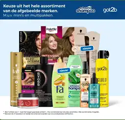 Trekpleister Schauma shampoo aanbieding