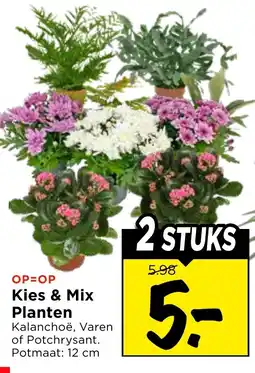 Vomar Voordeelmarkt Kies & Mix Planten aanbieding