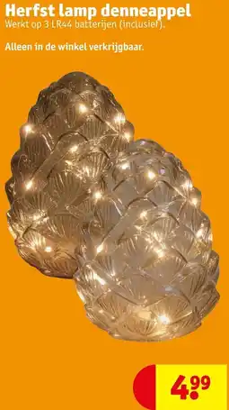 Kruidvat Herfst lamp denneappel aanbieding