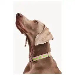 Pets Place Dogguo Collar - Halsband - Groen&Pink XS aanbieding