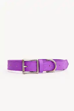 Pets Place Dogguo Honden Halsband Zebra - Halsband - Paars XS aanbieding