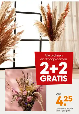 Kwantum Pluimen aanbieding