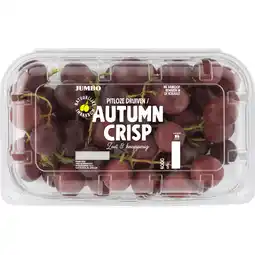 Jumbo Jumbo Pitloze Autumn Crisp Druiven 400 g aanbieding