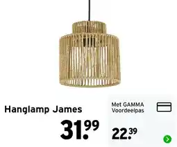 GAMMA Hanglamp James aanbieding