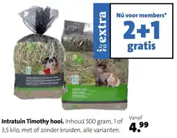 Intratuin Intratuin timothy hooi aanbieding