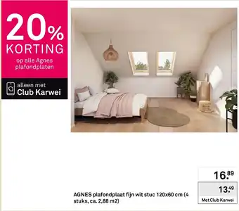 Karwei Agnes plafondplaat aanbieding
