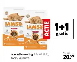 Intratuin Iams kattenvoeding aanbieding