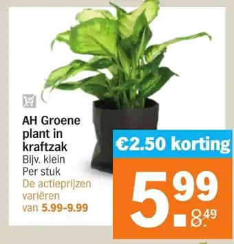 Albert Heijn Groene plant in kraftzak aanbieding