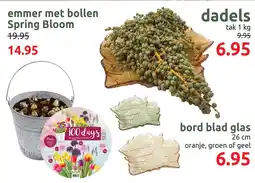 Deka Tuin emmer met bollen Spring Bloom aanbieding