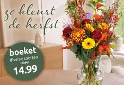 Deka Tuin boeket aanbieding