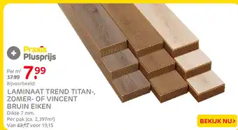 Praxis Praxis laminaat aanbieding