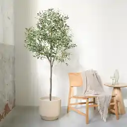 Action Kunst olijfboom aanbieding