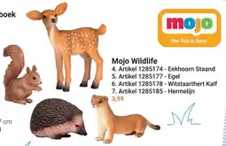 Lobbes Mojo Wildlife aanbieding