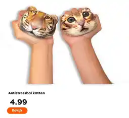 The Read Shop Antistressbal katten aanbieding