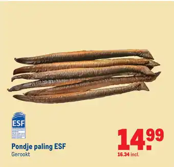 Makro Pondje paling ESF aanbieding