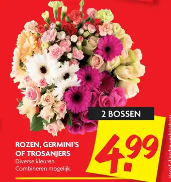 Dekamarkt ROZEN, GERMINI'S OF TROSANJERS aanbieding