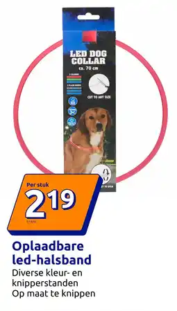 Action Oplaadbare led-halsband aanbieding