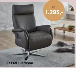 Sijben Sessel • Jackson aanbieding