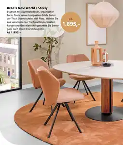 Sijben Bree's New World Steely aanbieding