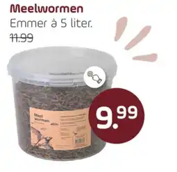 Coppelmans Meelwormen aanbieding