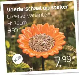 Coppelmans Voederschaal op steker aanbieding