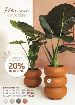 Coppelmans Elho amber roll aanbieding