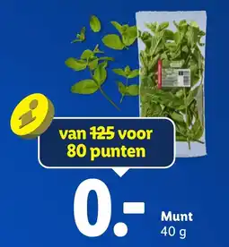 Lidl Munt aanbieding