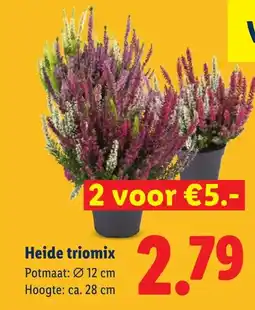 Lidl Heide triomix aanbieding