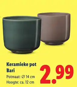 Lidl Keramieke pot Bari aanbieding