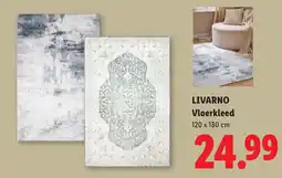 Lidl Livarno Vloerkleed aanbieding
