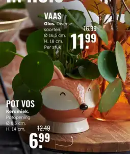 GroenRijk Pot vos aanbieding