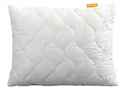 Lidl EMMA Hoofdkussen met aloë vera, 50 x 60 cm aanbieding