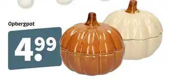 Wibra Opbergpot aanbieding