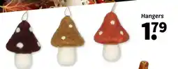 Wibra Hangers aanbieding